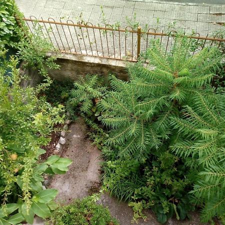 مبيت وإفطار San Giovanni Incarico Il Cactus المظهر الخارجي الصورة