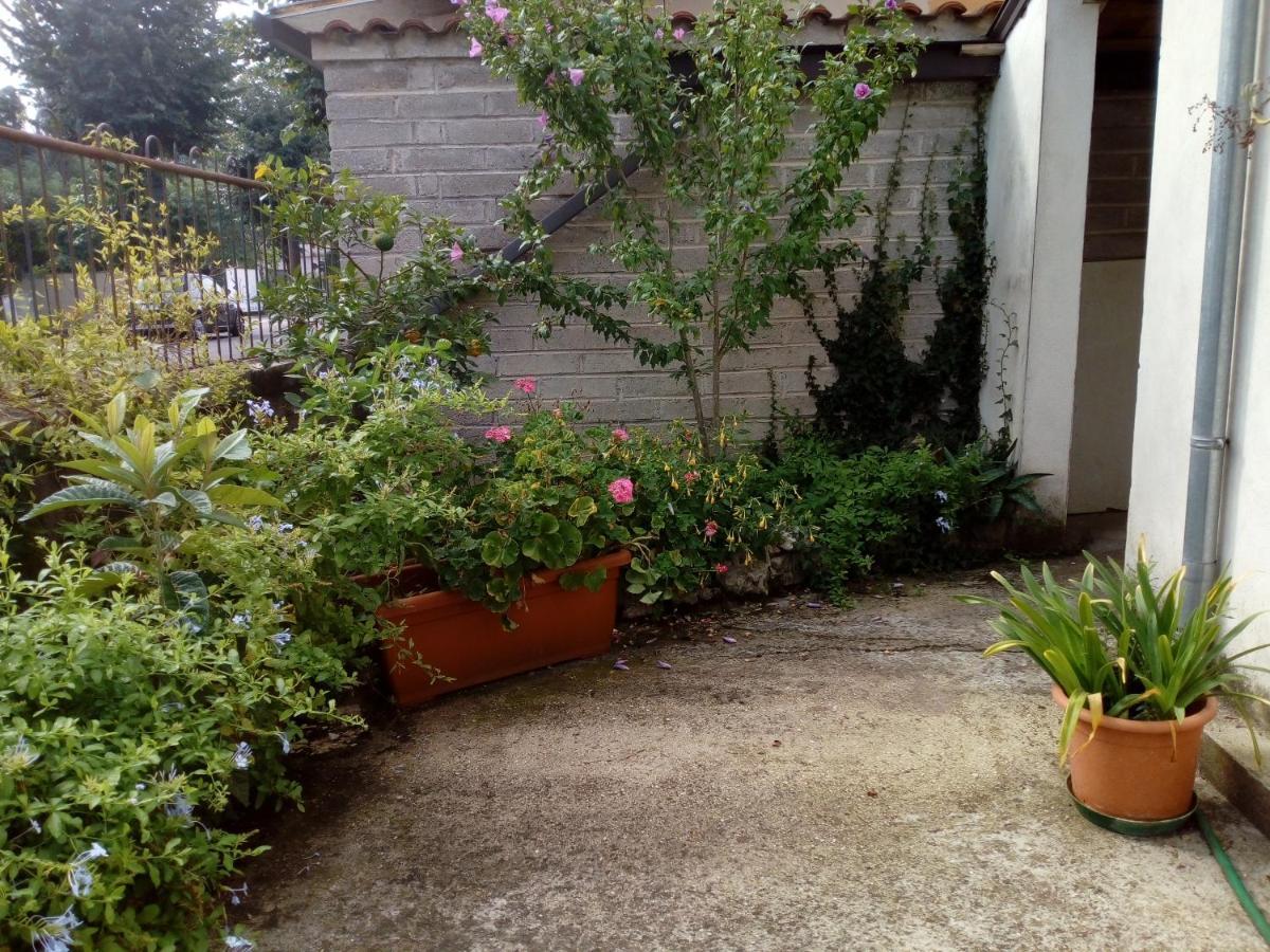 مبيت وإفطار San Giovanni Incarico Il Cactus المظهر الخارجي الصورة